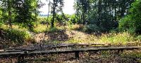20230729_083015 (002)